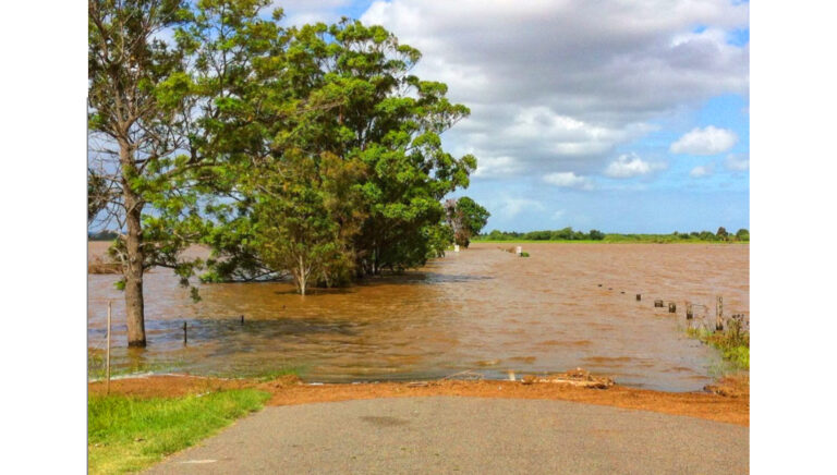 flooded area