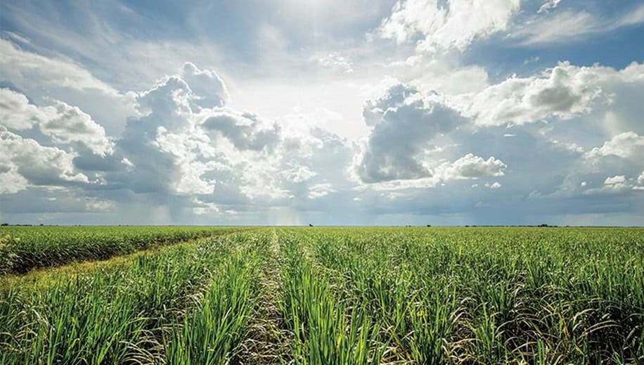 field and cloudy sky