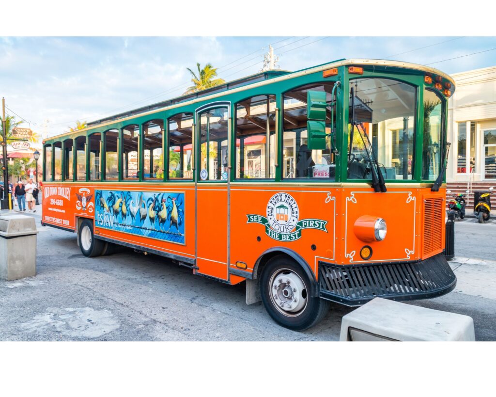 green orange tours bus