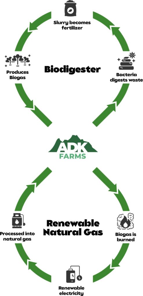 biodigester cycle portrait