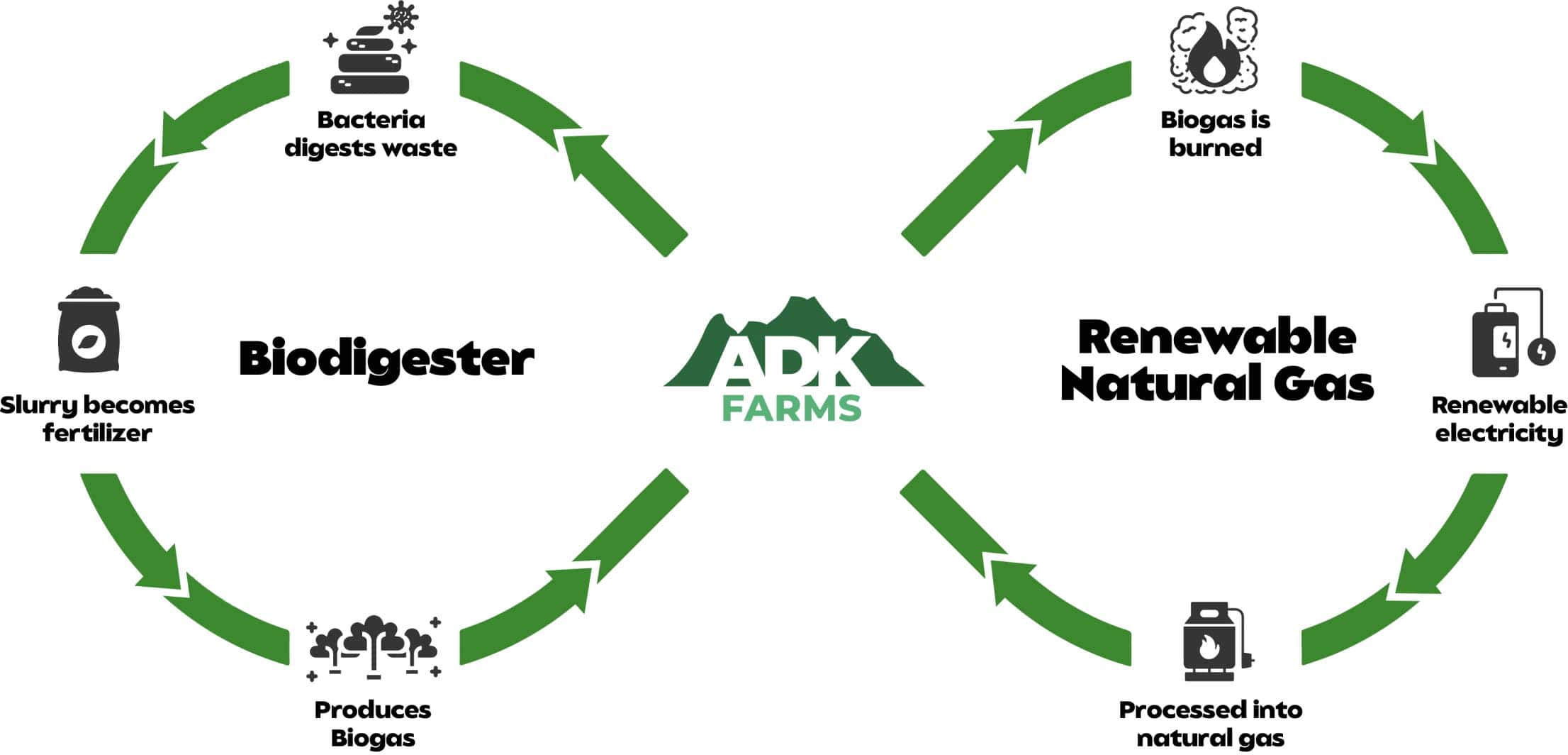 biodigester cycle