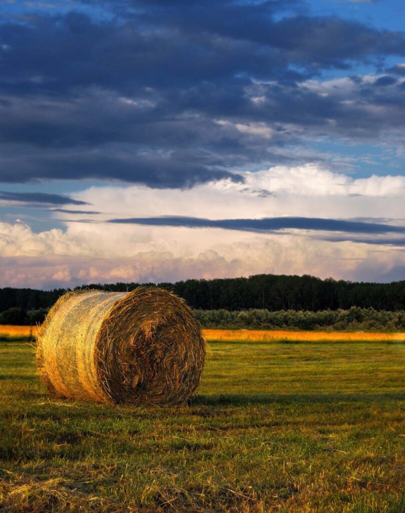 bail of hay and big sky