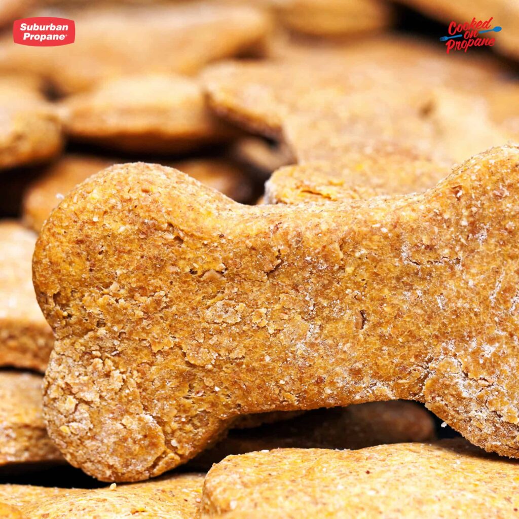 dog bone cookies