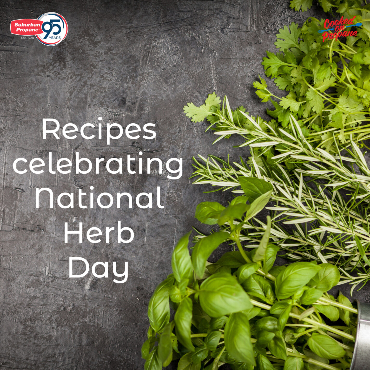 Celebrate National Herb Day by Using Herbs in Your Cooking