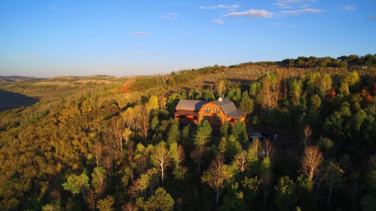 hidden cabin in the forest