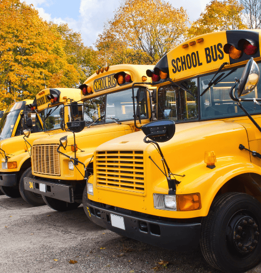 School buses parked in front of trees