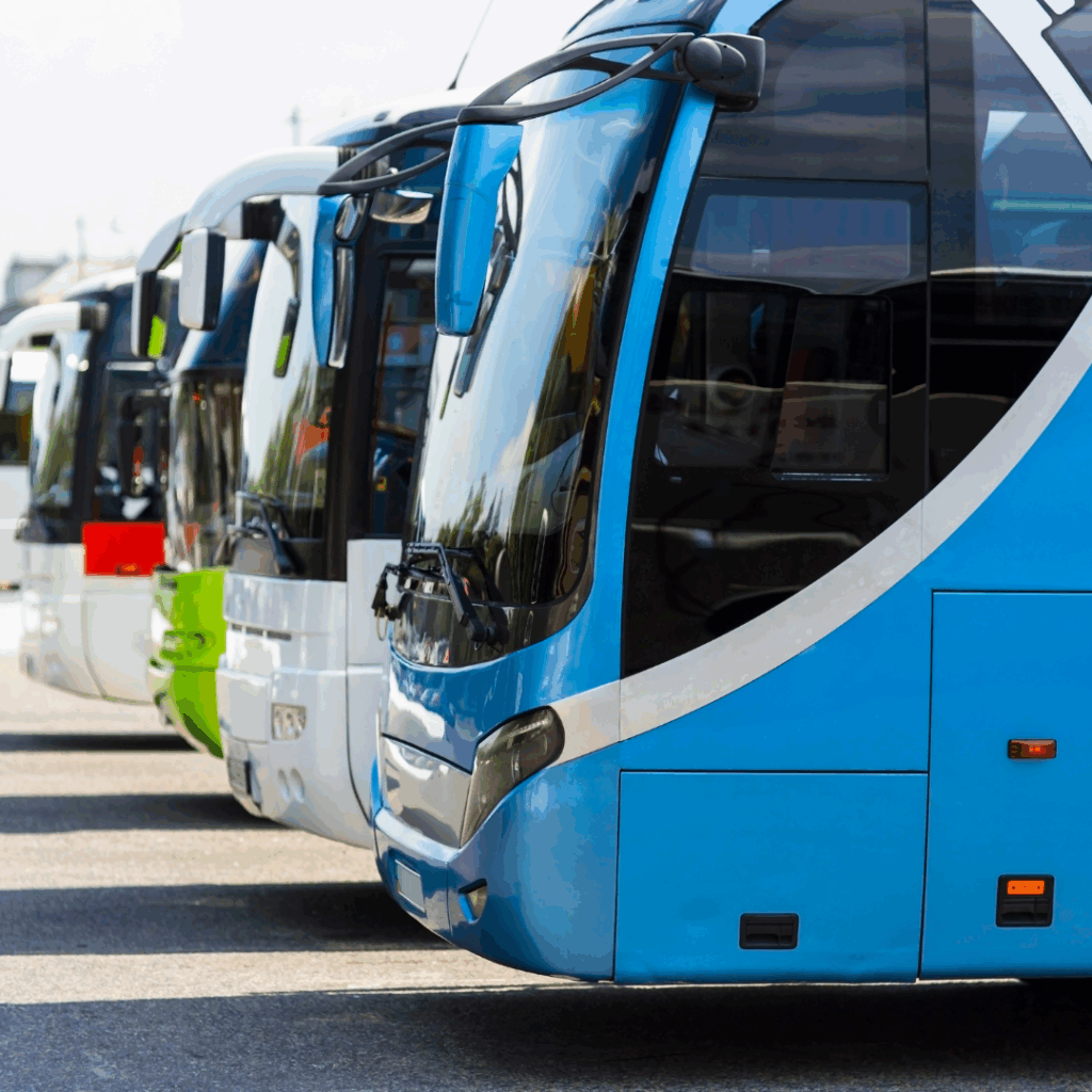 row of buses